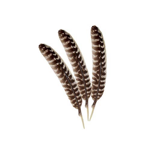 100% Real Turkey Smudge Feather (4-5 in.)